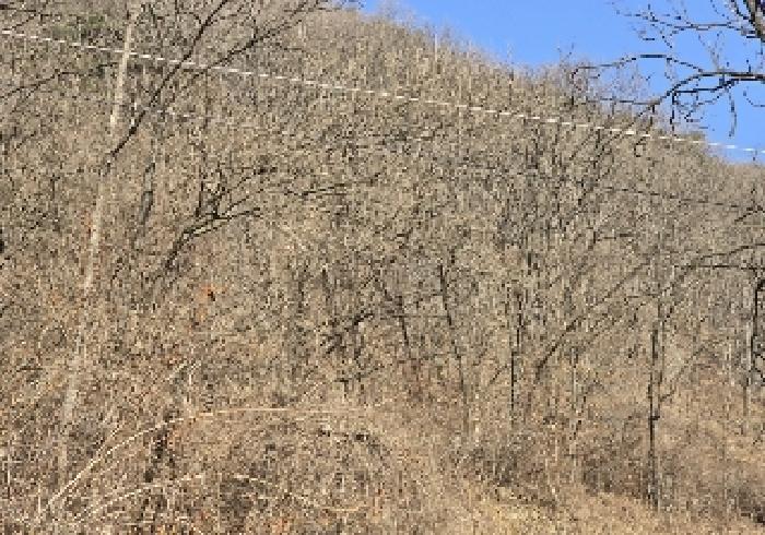 충청북도 충주시 살미면 향산리 564 전 경매 사진 4