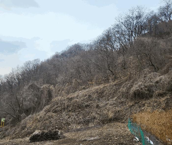 충청북도 충주시 살미면 향산리 564 전 경매 사진 5