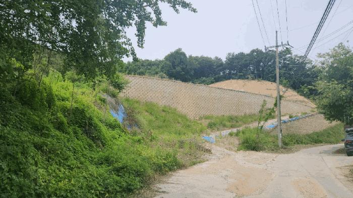충청남도 천안시 동남구 목천읍 삼성리 산51 임야 경매 사진 1