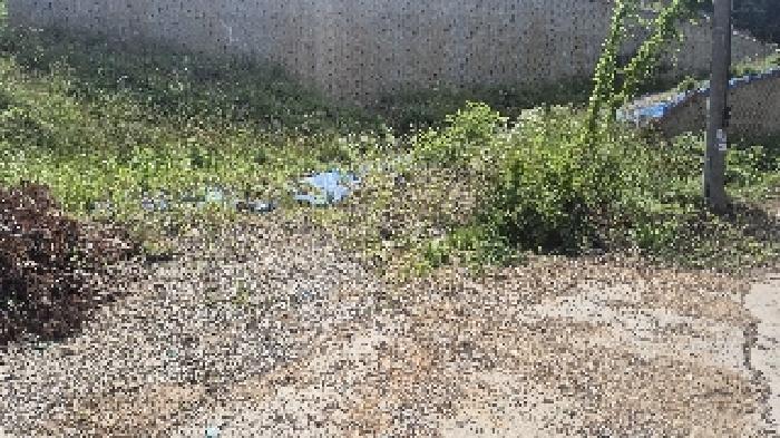 충청남도 천안시 동남구 목천읍 삼성리 산51 임야 경매 사진 11