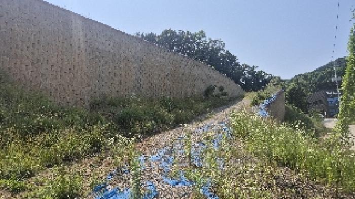 충청남도 천안시 동남구 목천읍 삼성리 산51 임야 경매 사진 12