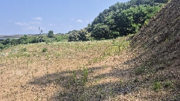충청남도 천안시 동남구 목천읍 삼성리 산51 임야 경매 사진 14