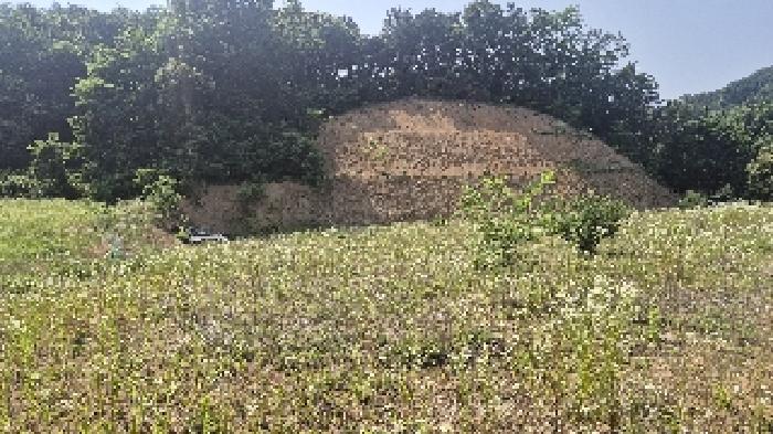 충청남도 천안시 동남구 목천읍 삼성리 산51 임야 경매 사진 16