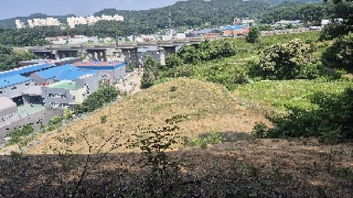 충청남도 천안시 동남구 목천읍 삼성리 산51 임야 경매 사진 18