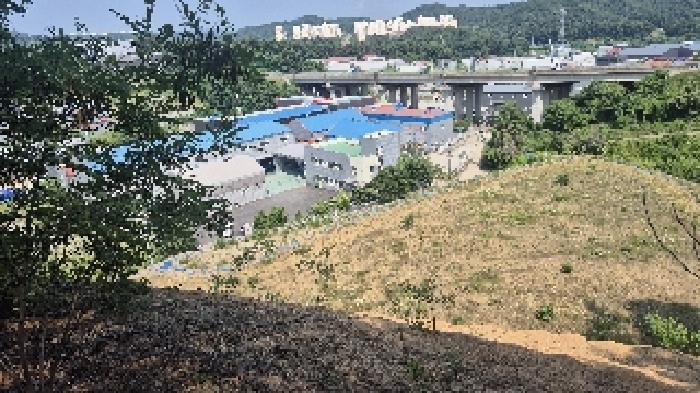 충청남도 천안시 동남구 목천읍 삼성리 산51 임야 경매 사진 19