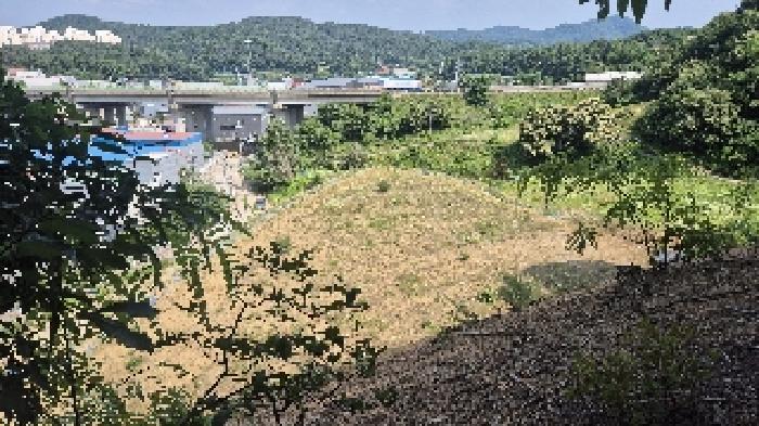 충청남도 천안시 동남구 목천읍 삼성리 산51 임야 경매 사진 20