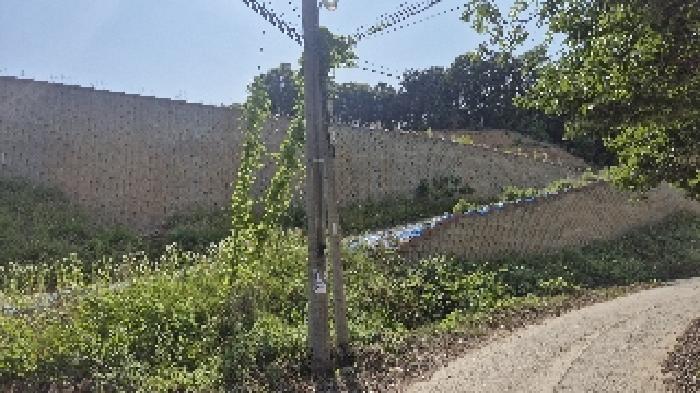 충청남도 천안시 동남구 목천읍 삼성리 산51 임야 경매 사진 22