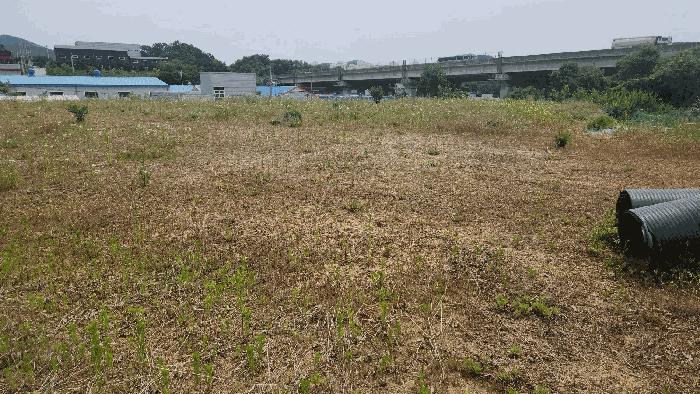 충청남도 천안시 동남구 목천읍 삼성리 산51 임야 경매 사진 3