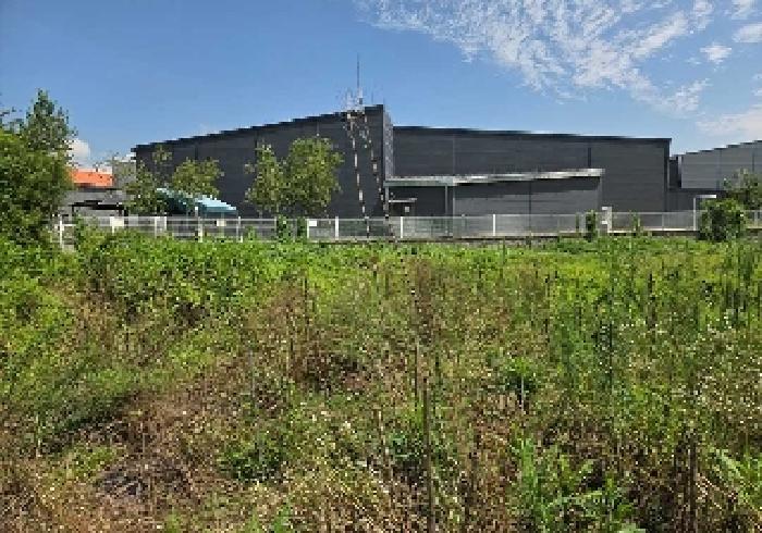 충청남도 천안시 서북구 성환읍 율금리 500 과수원 경매 사진 10