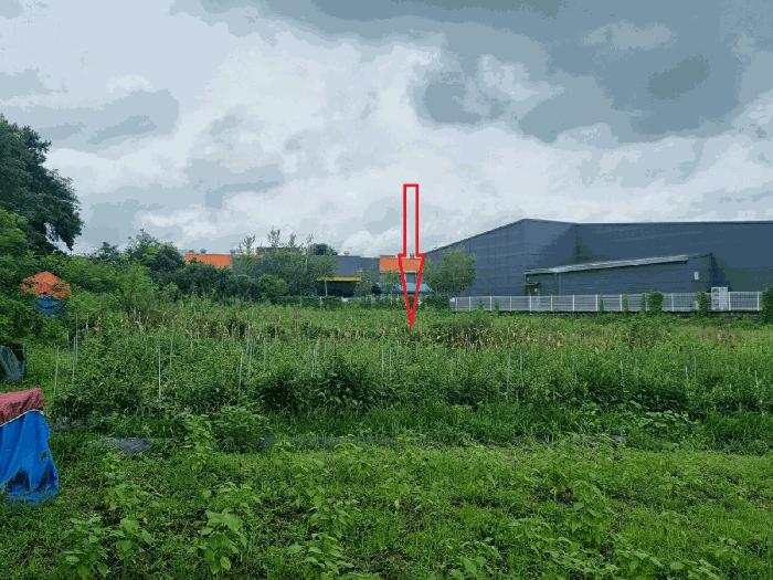 충청남도 천안시 서북구 성환읍 율금리 500 과수원 경매 사진 3