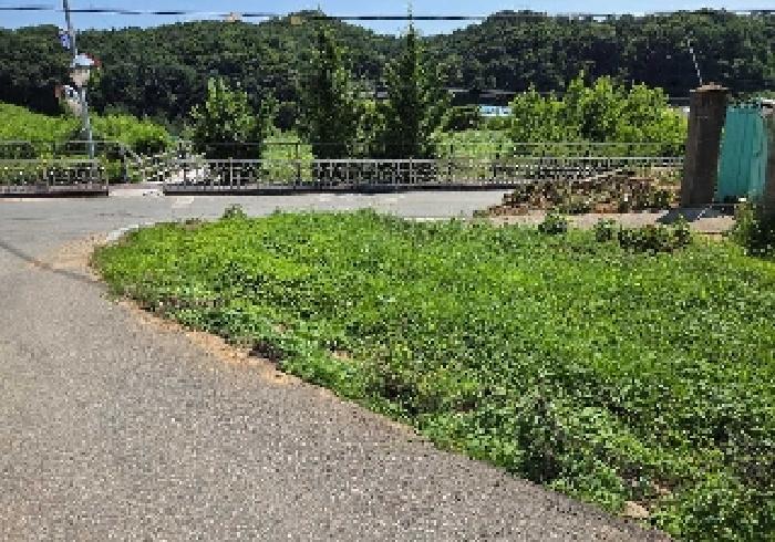 충청남도 천안시 서북구 성거읍 천흥리 110-1 전 경매 사진 10