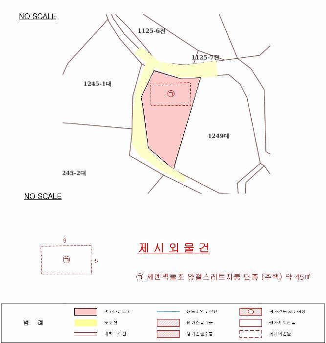 충청북도 음성군 음성읍 용산리 1248 전 경매 사진 12