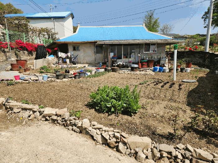 충청북도 음성군 음성읍 용산리 1248 전 경매 사진 2