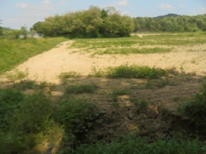 충청북도 충주시 주덕읍 대곡리 491-1 답 경매 사진 2