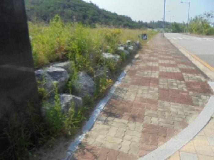 충청북도 충주시 주덕읍 화곡리 1580-36 대지 경매 사진 19