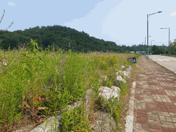 충청북도 충주시 주덕읍 화곡리 1580-36 대지 경매 사진 2