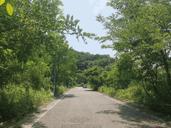 충청북도 충주시 대지