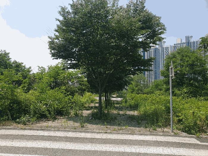 충청북도 충주시 주덕읍 화곡리 1429 대지 경매 사진 2