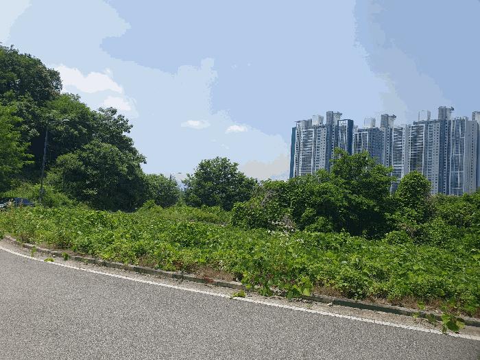 충청북도 충주시 주덕읍 화곡리 1429 대지 경매 사진 3