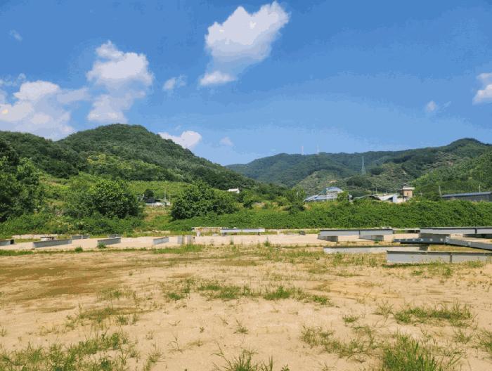충청북도 충주시 엄정면 추평리 302-2 전 경매 사진 12