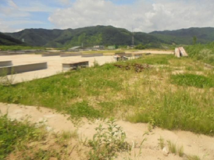 충청북도 충주시 엄정면 추평리 302-2 전 경매 사진 19