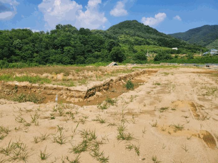 충청북도 충주시 엄정면 추평리 302-2 전 경매 사진 6