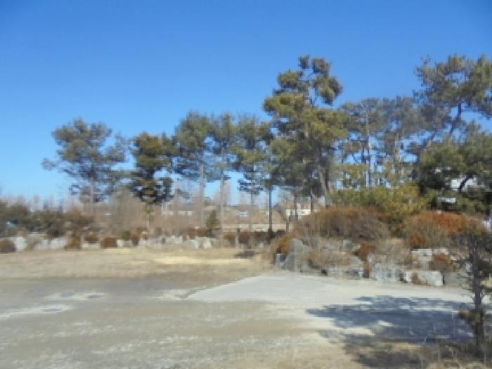 충청북도 충주시 동량면 용교리 655-6 숙박시설 경매 사진 27