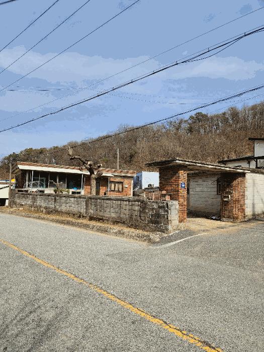 충청북도 음성군 감곡면 사곡리 224-1 답 경매 사진 13