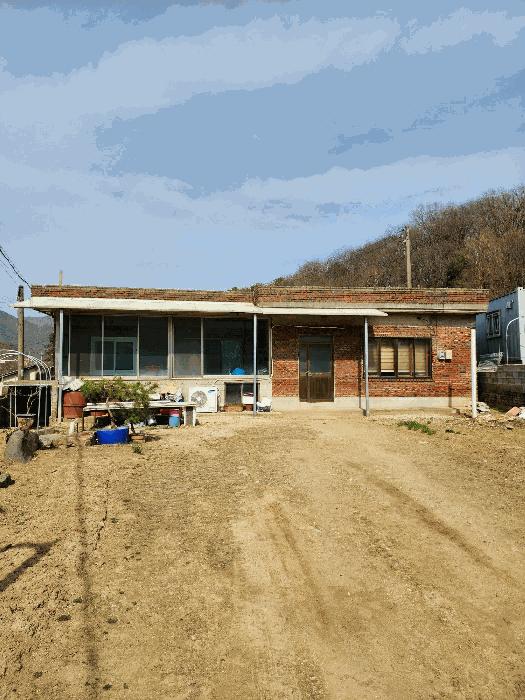 충청북도 음성군 감곡면 사곡리 224-1 답 경매 사진 20