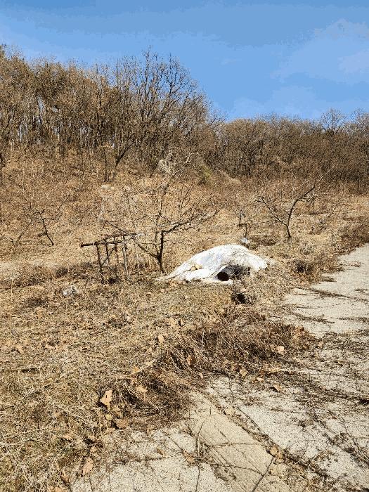 충청북도 음성군 감곡면 사곡리 224-1 답 경매 사진 22