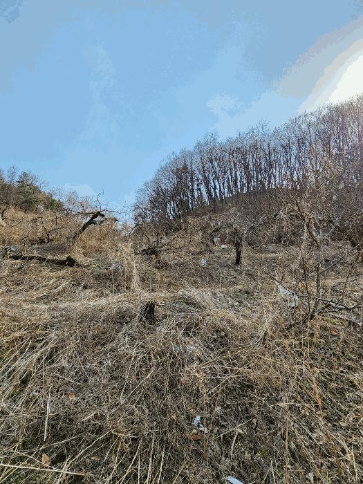 충청북도 음성군 감곡면 사곡리 224-1 답 경매 사진 5