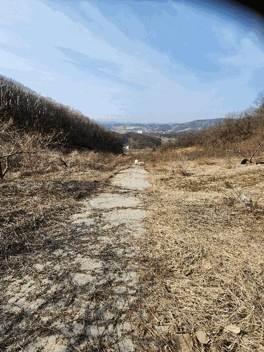충청북도 음성군 감곡면 사곡리 406 대지 경매 사진 10