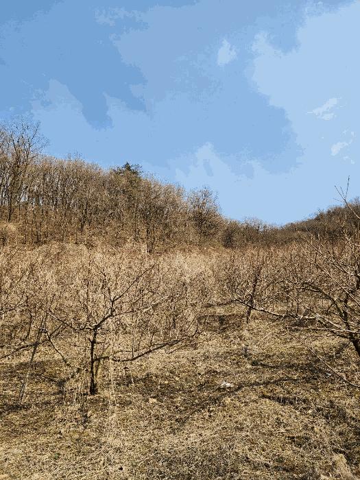 충청북도 음성군 감곡면 사곡리 406 대지 경매 사진 16
