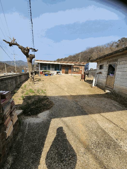 충청북도 음성군 감곡면 사곡리 406 대지 경매 사진 2