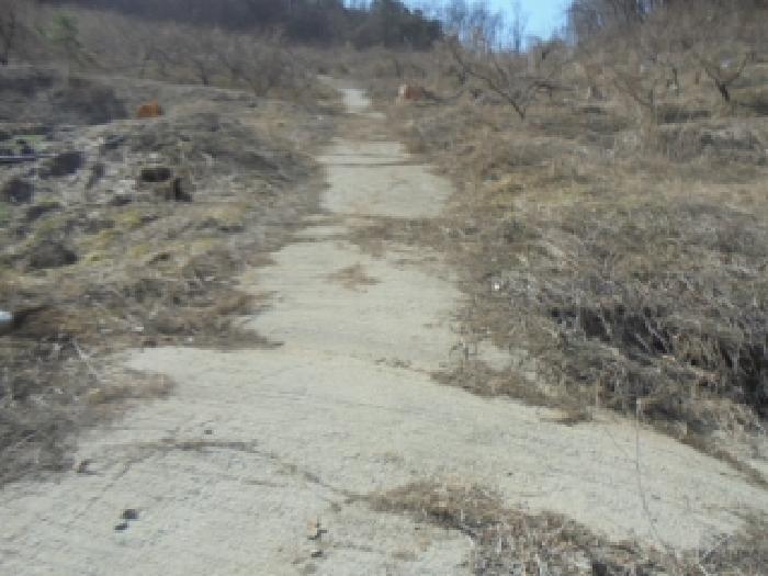 충청북도 음성군 감곡면 사곡리 406 대지 경매 사진 25