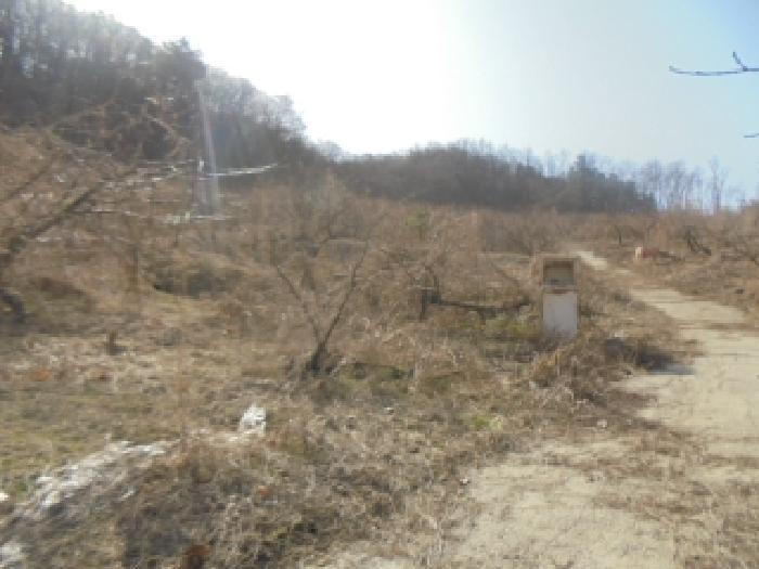 충청북도 음성군 감곡면 사곡리 406 대지 경매 사진 31