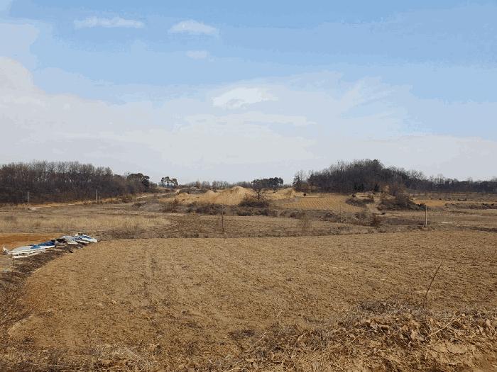 충청북도 음성군 대소면 미곡리 13 전 경매 사진 14