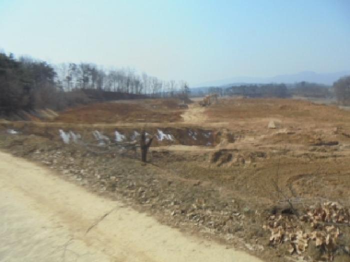 충청북도 음성군 대소면 미곡리 13 전 경매 사진 15