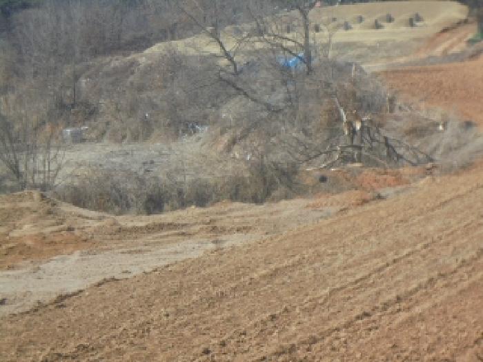충청북도 음성군 대소면 미곡리 13 전 경매 사진 16