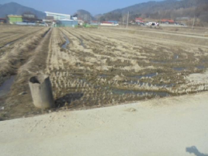 충북 음성군 답