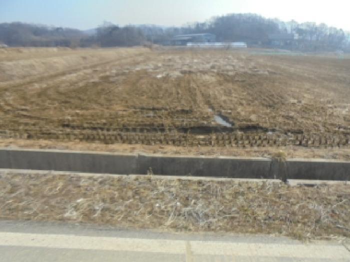 충청북도 음성군 원남면 보룡리 263 답 경매 사진 2