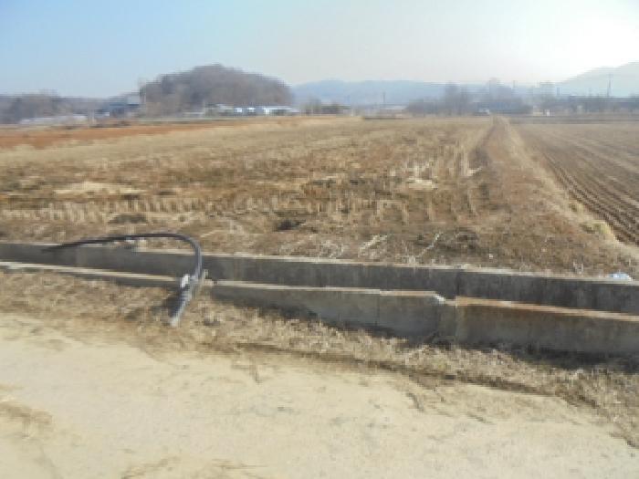 충청북도 음성군 원남면 보룡리 409 답 경매 사진 3