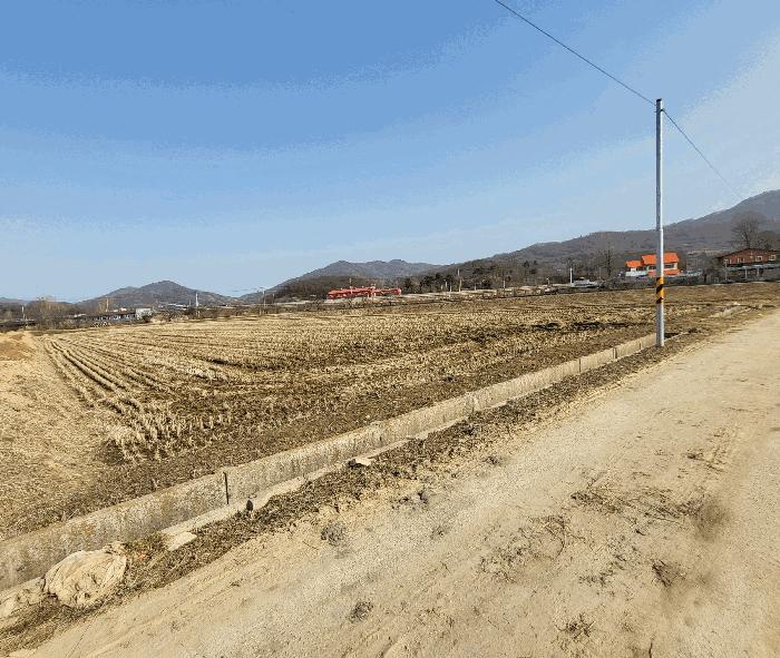 충청북도 음성군 원남면 보룡리 411 답 경매 사진 5