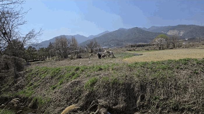 충청북도 충주시 앙성면 돈산리 117-10 답 경매 사진 2