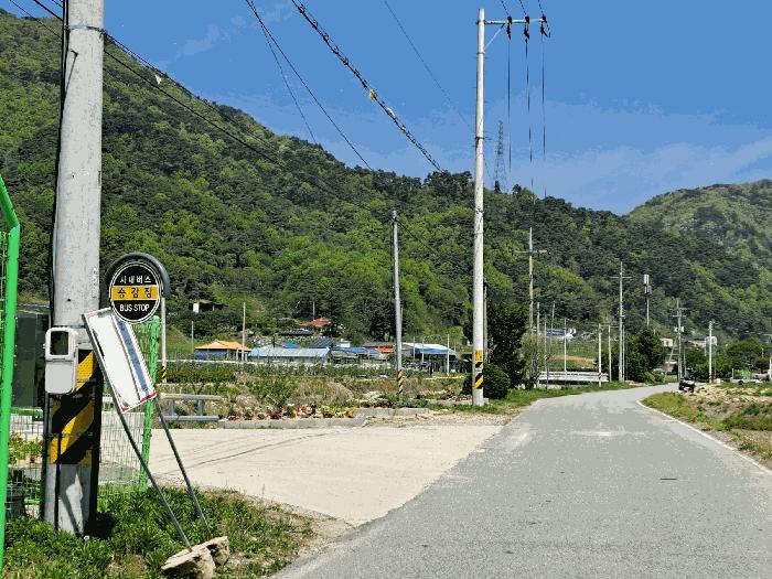 충청북도 충주시 산척면 송강리 1819-3 답 경매 사진 3