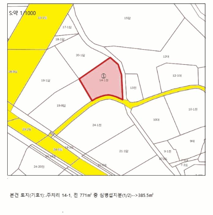 충청북도 충주시 소태면 주치리 14-1 전 경매 사진 11