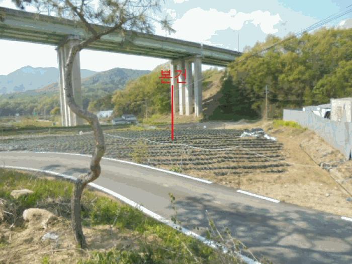 충청북도 충주시 소태면 주치리 14-1 전 경매 사진 4