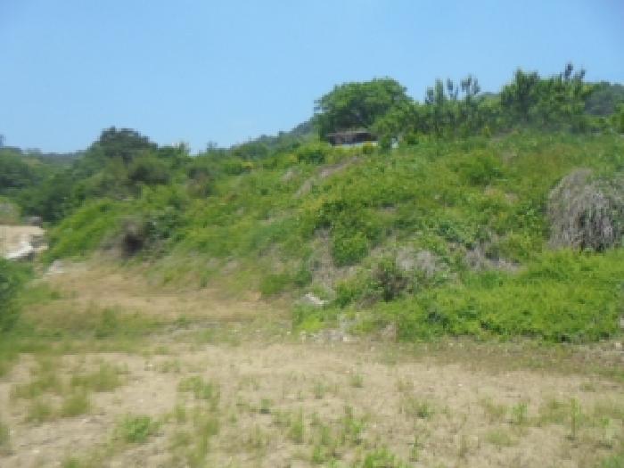 충청북도 충주시 엄정면 율능리 445 전 경매 사진 13