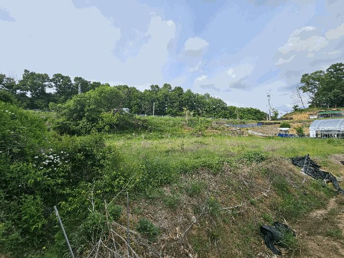 충청북도 충주시 엄정면 유봉리 55 묘지 경매 사진 6