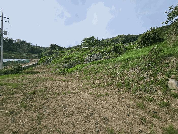 충청북도 충주시 금가면 잠병리 589 전 경매 사진 7